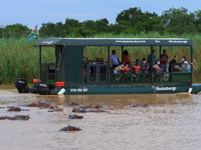 Bootsafari op de St. Lucia-rivier in Zuid-Afrika met nijlpaarden in het water.