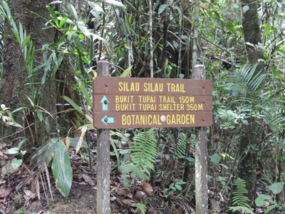 Wegwijzer in het regenwoud naar de Silau Silau Trail en Botanical Garden op Maleisisch Borneo.