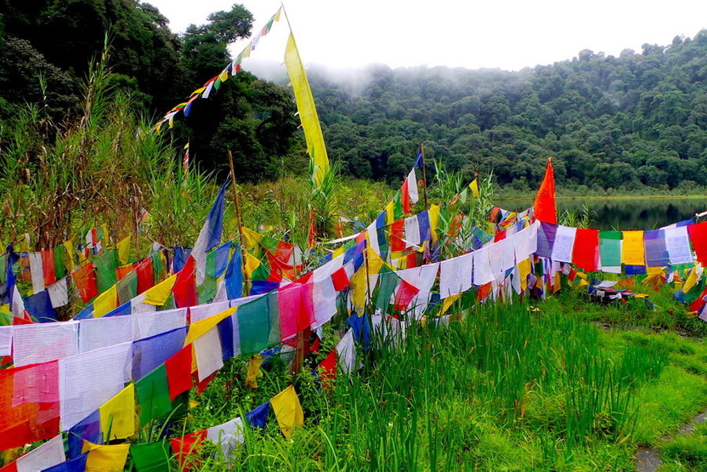 Kleurrijke gebedsvlaggen langs een groen berglandschap in Sikkim en Bhutan, Himalaya.