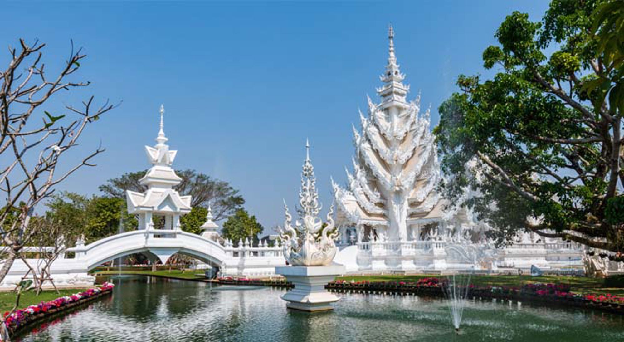 Mistig boslandschap met bomen in Thailand.