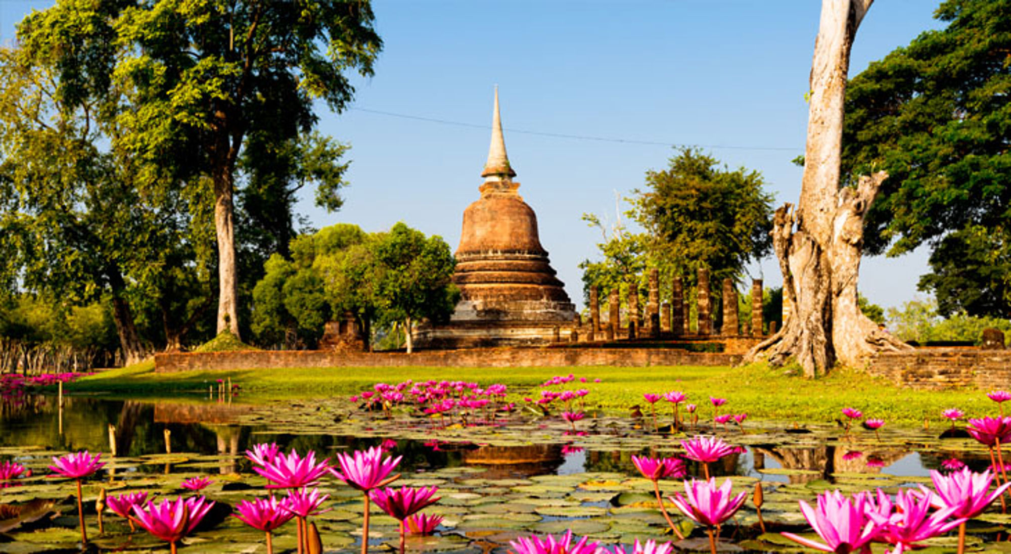 Boeddhistische tempelruïne in Sukhothai, Thailand, met roze lotusbloemen in een vijver.