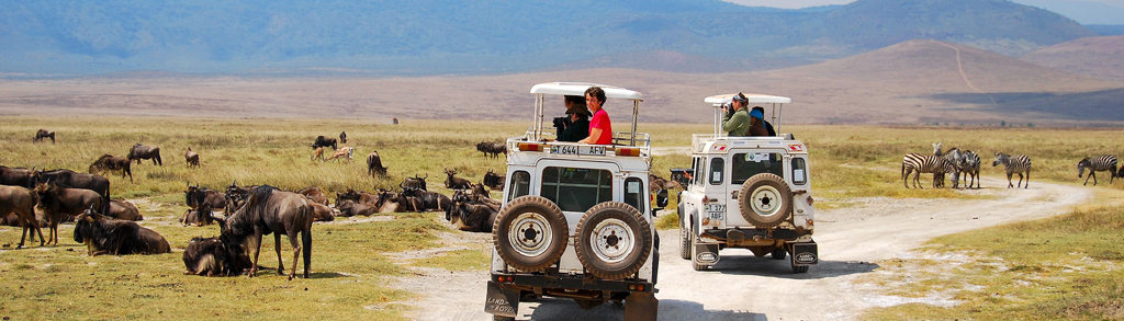 Safari-jeeps tussen zebra’s en gnoes op de savanne tijdens groepsrondreis Kenia, Tanzania en Zanzibar.