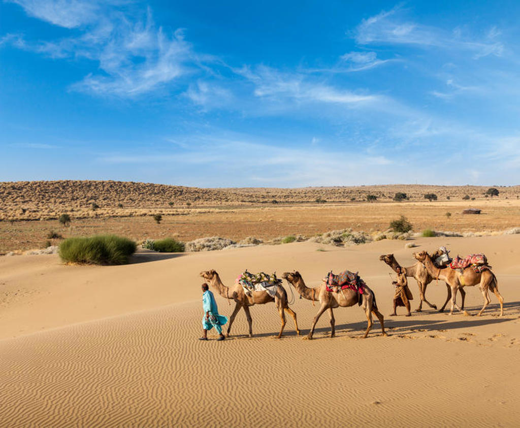 Karavaan met kamelen in de Tharwoestijn bij Jaisalmer tijdens de groepsrondreis Noord-India Compleet.