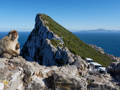 Berberaap op de rotsen bij de Rots van Gibraltar met uitzicht op zee en de kust.