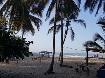 Palmen en hangmatten op een rustig Caribisch strand in Colombia, Route Colombia.