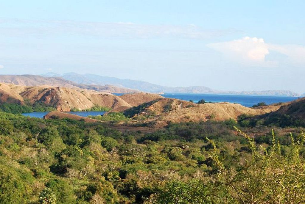 Panoramisch uitzicht over heuvels, groen bos en blauwe zee op de Kleine Sunda-eilanden, Indonesië.