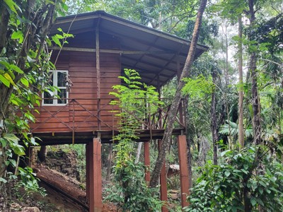 Houten lodge op palen in het groene regenwoud van Sri Lanka tijdens de Route Sri Lanka.