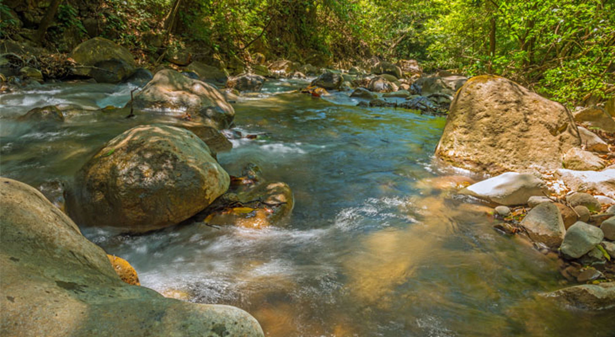 Rivier Rincon de la Vieja nationaal park Rotsachtige rivier in het regenwoud van Costa Rica, met helder stromend water tussen grote keien.