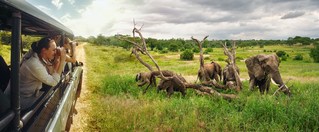 Safari in Sri Lanka met jeep en reizigers die olifanten spotten in een nationaal park.