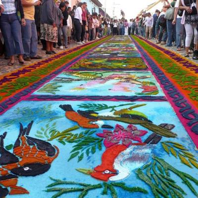 Gekleurde zaagselstraatkunst tijdens een processie in Guatemala, met toekans en bloemenmotieven.