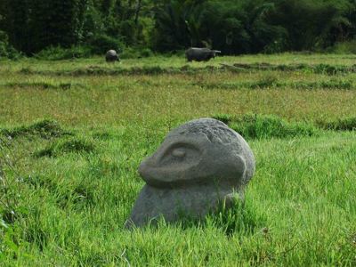 Megalitisch stenen beeld in een groen rijstveld op Sulawesi.