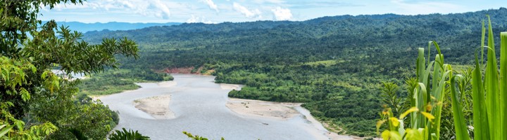 Rivierlandschap met weelderig regenwoud in Manu National Park, Peru.