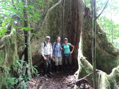 Wandelaars in het Amazonewoud van Ecuador bij een enorme boom met brede wortels.