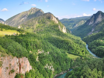 Uitzicht op de Tara-kloof in Montenegro met groene bergen en een kronkelende rivier.