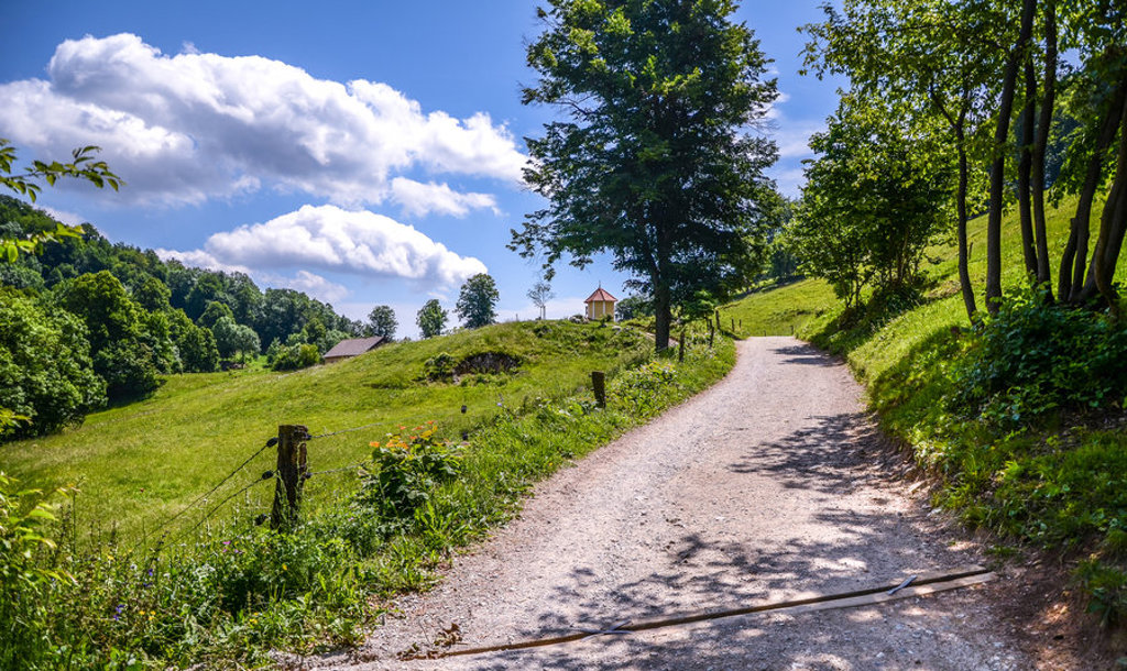 Wandelpad door groene heuvels in Slovenië, met bomen en een kapelletje onder een blauwe lucht.