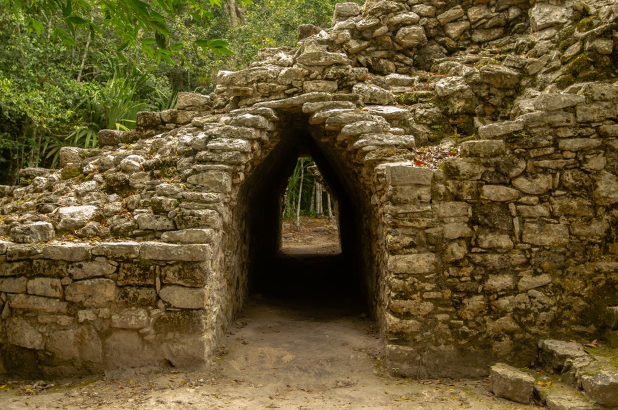 Stenen boogdoorgang bij Maya-ruïnes in de jungle van Mexico.