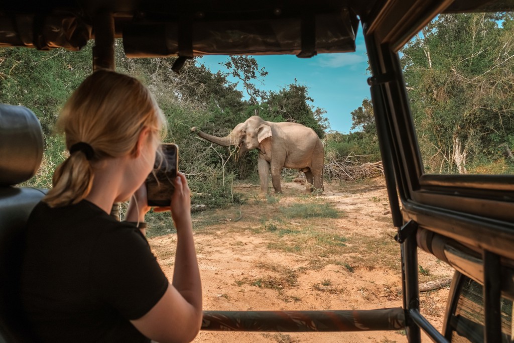 Meisje fotografeert olifant vanuit safarijeep tijdens familiereis Kenia en Tanzania met Zanzibar.