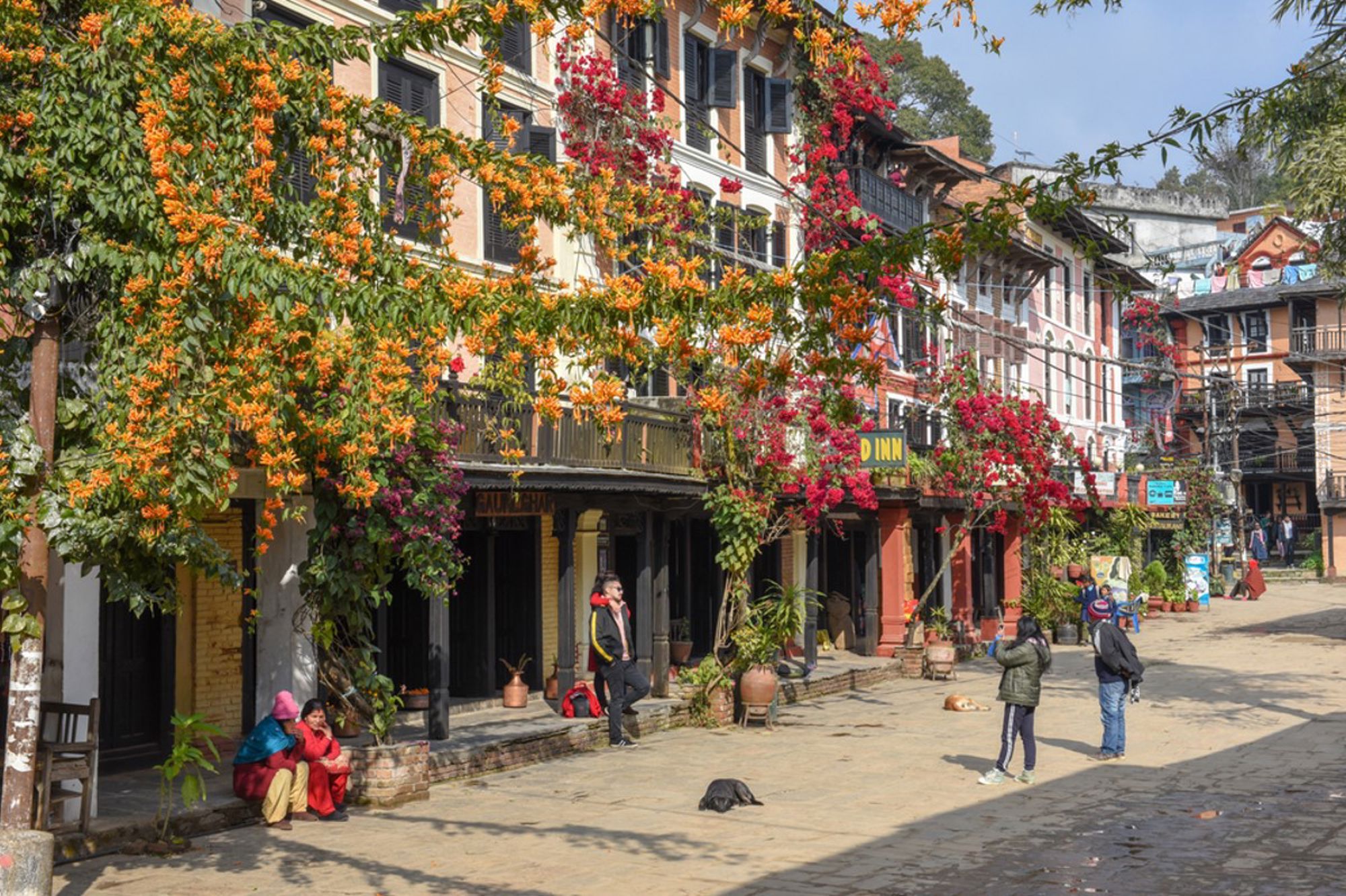 Straatbeeld in Nepal met kleurrijke bougainvillea langs gevels en reizigers bij kleine hotels en winkels.