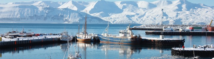Haven van Húsavík met vissersboten en besneeuwde bergen op de achtergrond.