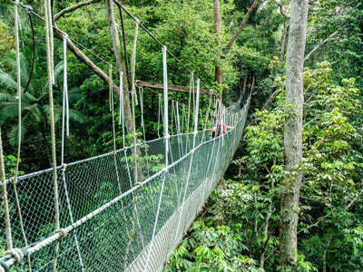 Hangbrug door het regenwoud op de route Singapore, Maleisië & Thailand.