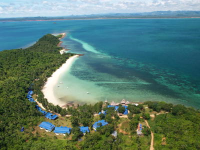 view
