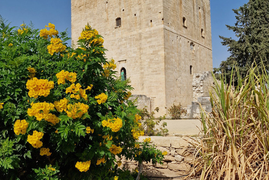 Gele bloemen naast een historische stenen toren tijdens een wandelvakantie op Cyprus.