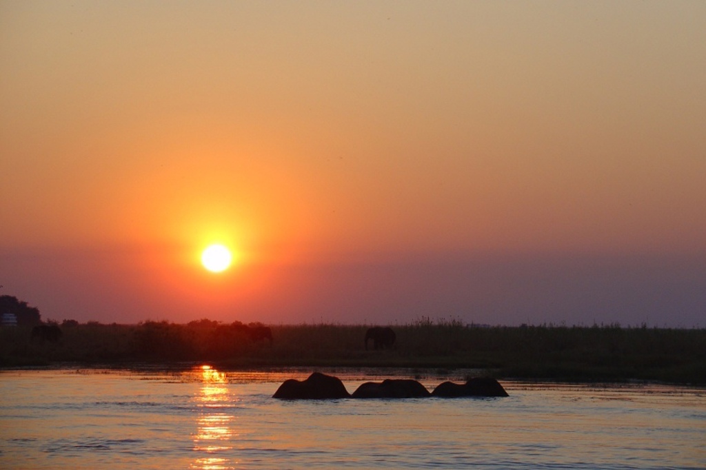 Zonsondergang boven een rivier met nijlpaarden in het water tijdens een kampeer groepsrondreis in Zuidelijk Afrika.