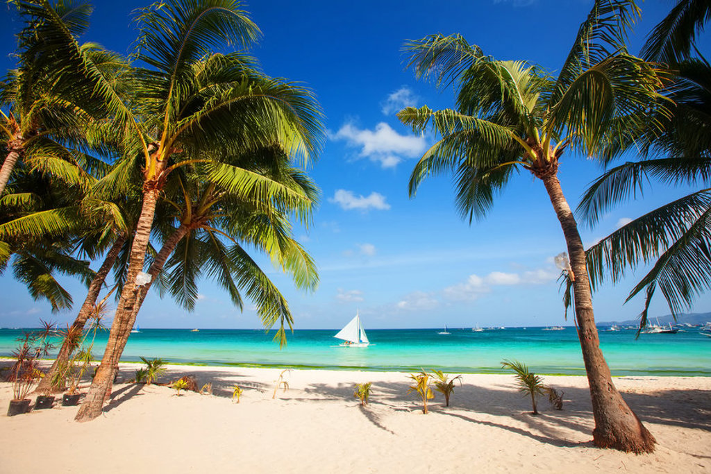 Palmen op wit zandstrand aan turquoise zee tijdens groepsrondreis Sri Lanka en Malediven.