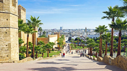 Uitzicht vanaf de Kasbah van de Oudayas in Rabat, met palmbomen en de stad op de achtergrond.