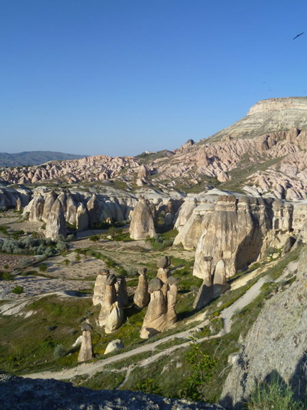 Panorama van rotsformaties en feeënschoorstenen in Cappadocië, Turkije.