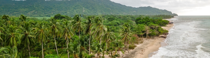 Palmenstrand aan de Caribische kust bij Santa Marta en Palomino, met groene bergen op de achtergrond.