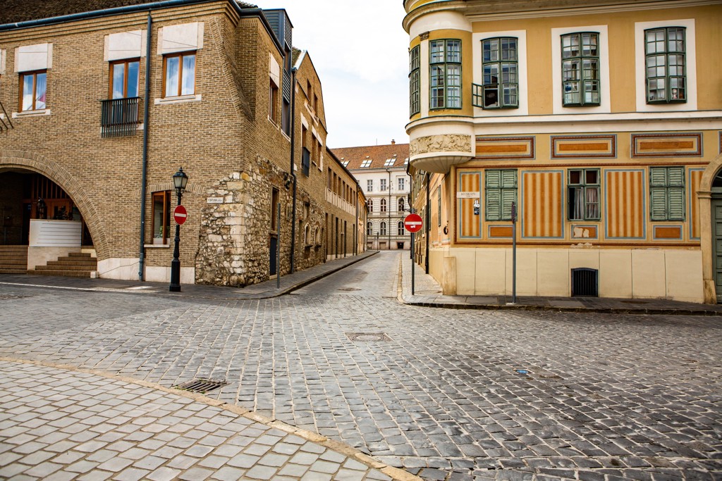 Geplaveide straat met historische gevels in Praag tijdens groepsrondreis Centraal-Europa met de trein.