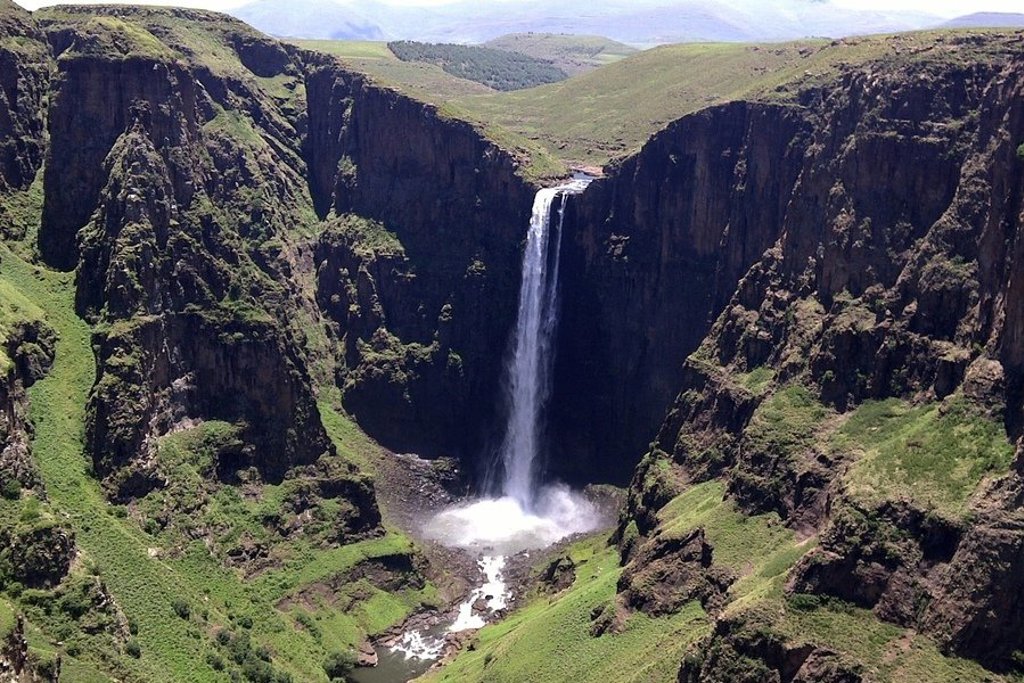 Twee olifanten tussen de bomen tijdens een groepsrondreis door Zuid-Afrika, eSwatini en Lesotho.