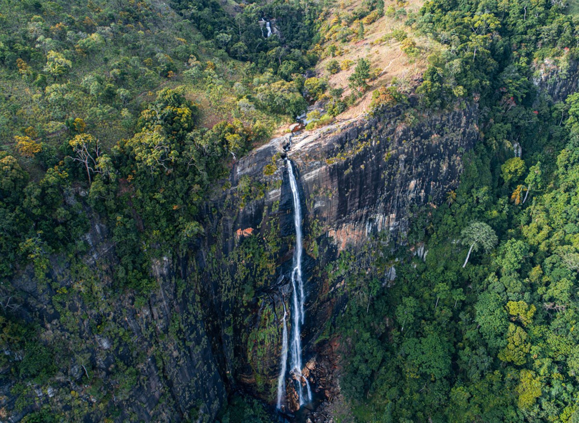 Hoge waterval langs een steile rotswand, omringd door dicht groen regenwoud in Sri Lanka.