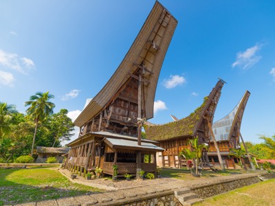 Traditionele Tongkonan-huizen met hoge bootvormige daken in Tana Toraja, Sulawesi.