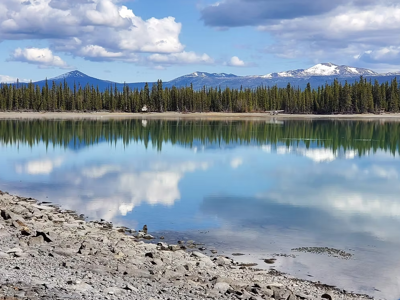 Spiegelglad meer met dennenbos en besneeuwde bergen onder wolkenlucht in Alaska.