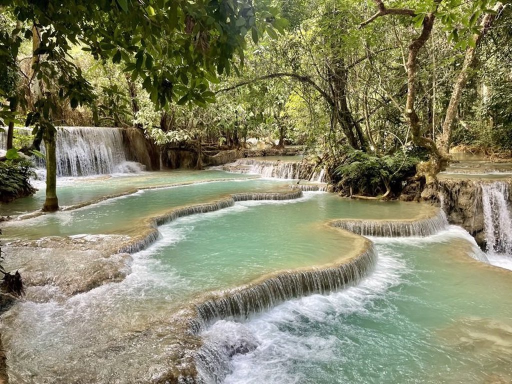 Groene rijstvelden met palmbomen in Thailand, Laos of Cambodja.