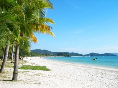 Palmen langs een wit zandstrand met helderblauw zeewater tijdens de route West Maleisië & Borneo.
