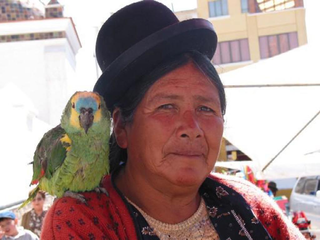 Cactus op de ruige hoogvlaktes van de Andes tijdens een groepsrondreis door Argentinië, Bolivia en Peru.