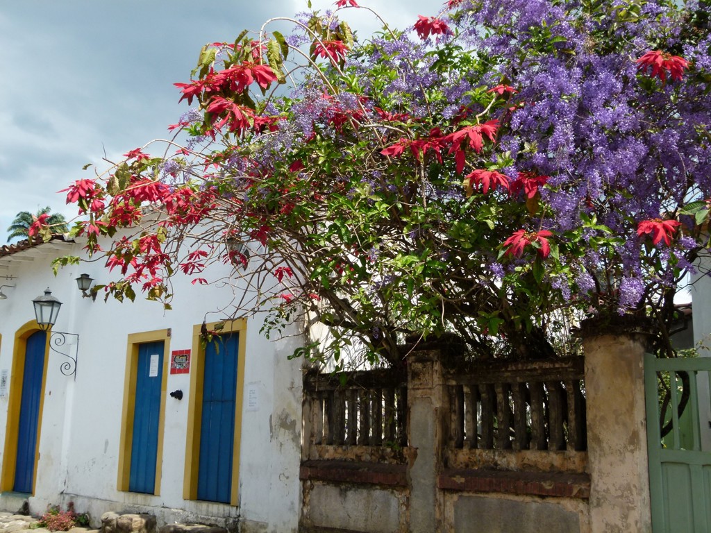 Wit huis met blauwe deuren en kleurrijke bloeiende bougainvillea tijdens familiereis Argentinië en Brazilië.