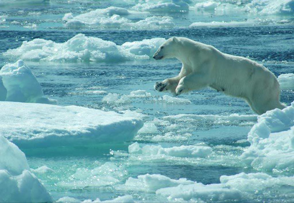 Gletsjerlandschap met ijsbergen en besneeuwde bergtoppen tijdens groepsrondreis Spitsbergen, Groenland en IJsland.