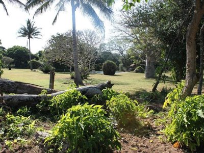 Bushland Game Lodge Hluhluwe Zuid-Afrika