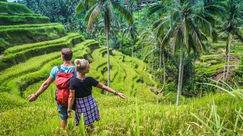 Wandelaars bij de rijstterrassen van Bali tussen palmbomen tijdens een 22-35ers reis Indonesië.