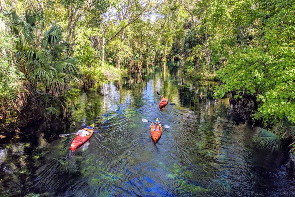Kajakkers peddelen over een heldere rivier door groen boslandschap tijdens een groepsrondreis Estland, Letland en Litouwen.