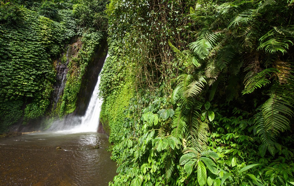 Waterval in weelderig groen regenwoud tijdens groepsrondreis Java & Bali.