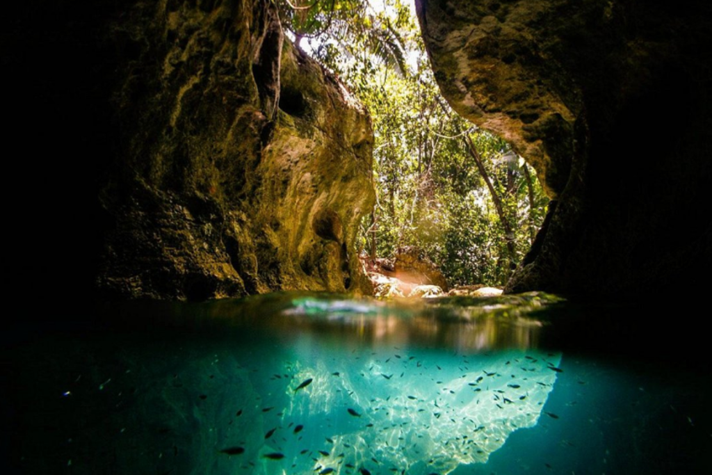Turquoise cenote met vissen tussen rotsen en jungle in Guatemala, tijdens familiereis Guatemala en Belize.