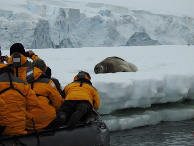 Reizigers in zodiac bekijken een zeehond op een ijsschots in Antarctica, met gletsjerwand op de achtergrond.