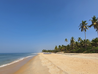 Zandstrand met palmbomen en vissersboot aan de kust van India tijdens de Route India.