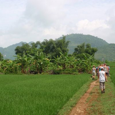 Wandeling met gezin over een pad langs rijstvelden en bananenbomen in Vietnam tijdens een familiereis.