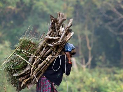 Drager met bundel brandhout op het hoofd in landelijke omgeving tijdens de Route India en Nepal.